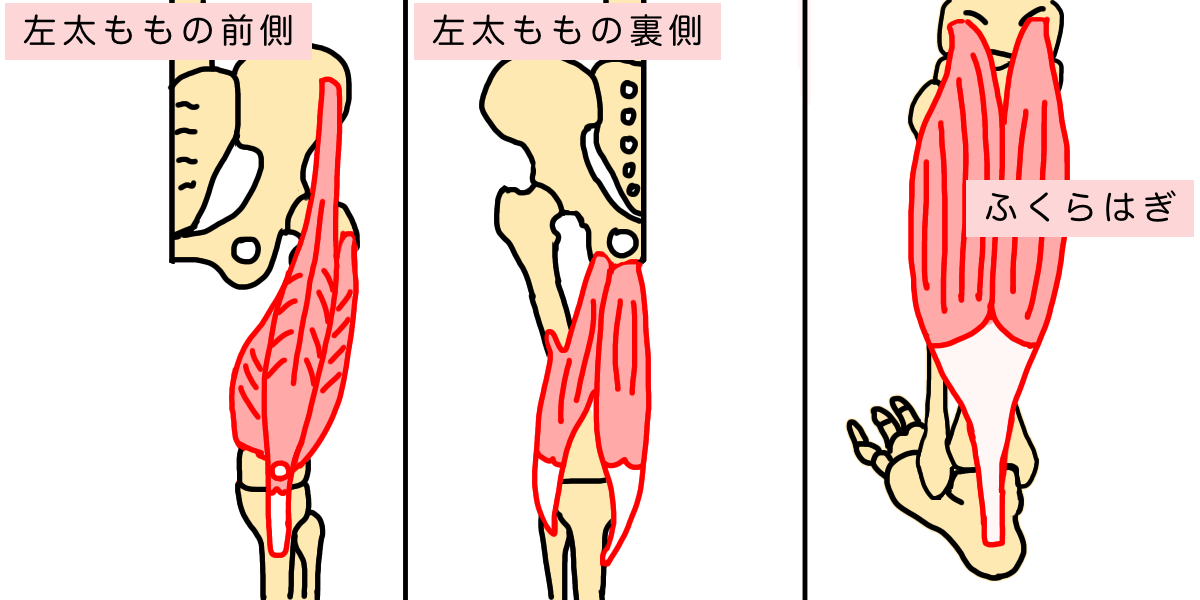 画像の説明