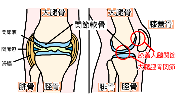 画像の説明