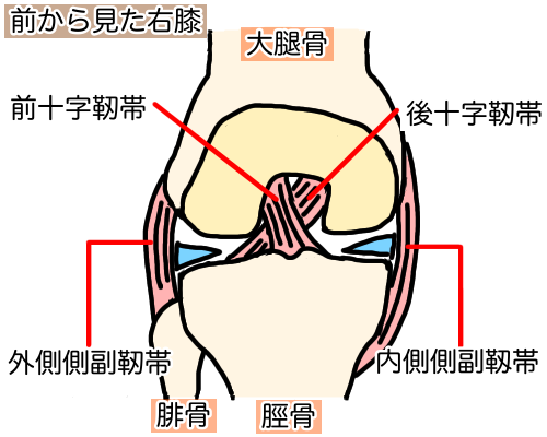 画像の説明