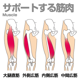 太ももの筋肉➀