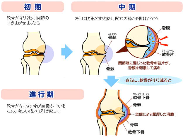 枚方市松波整形