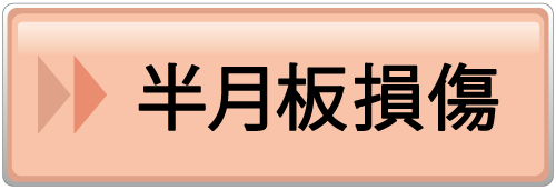 半月板損傷ページ