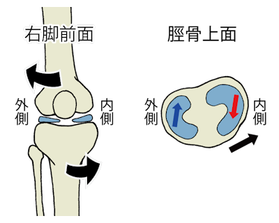 下腿の内旋