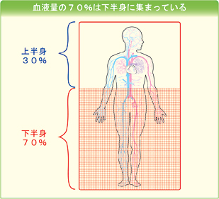 全身の血液の７０％