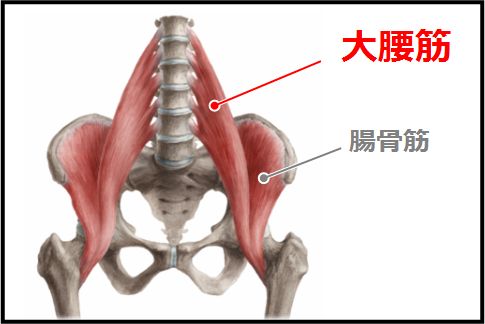 トレーニング